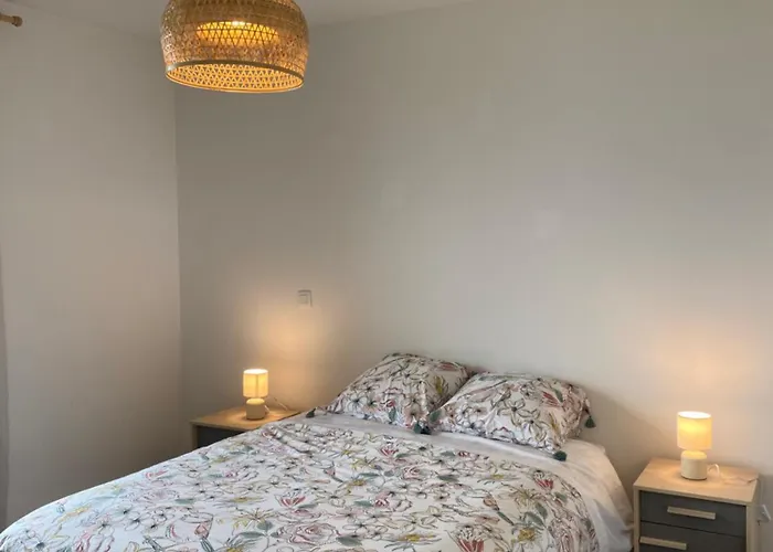 Appartement Avec Vue Imprenable Sur Le Lac Leman